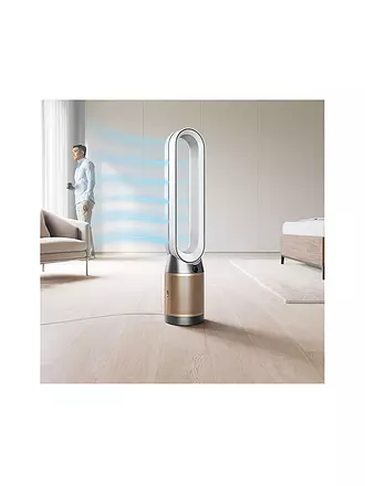 DYSON | dyson Purifier Cool PC2 Weiss/Gold | 